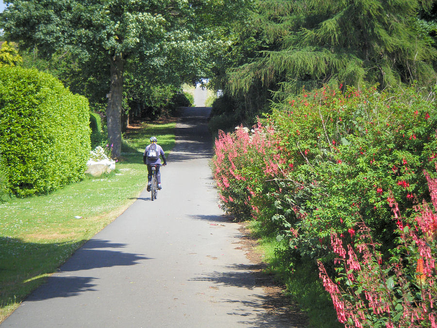 The lane from Dalgety Bay